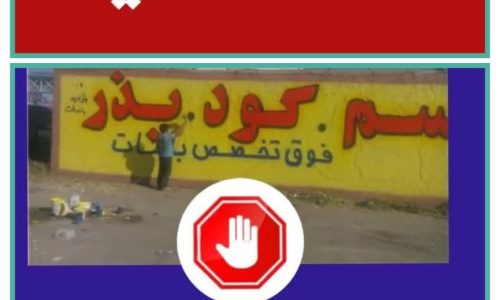 photo_2025-11-05_08-04-24