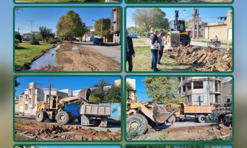 photo_2026-01-26_12-53-22