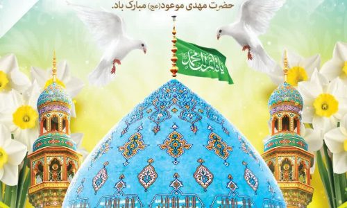 photo_2026-02-03_14-17-03